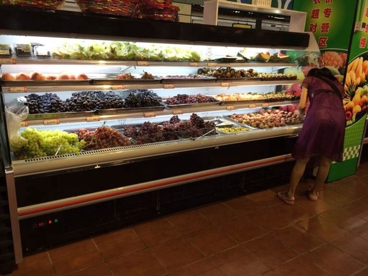 강직한 열려있는 냉각장치 슈퍼마켓 진열장 낙농장 전시 다 갑판 열려있는 냉각기