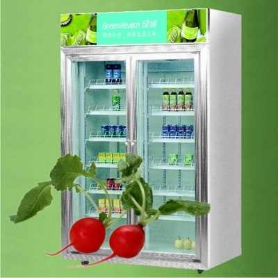 빵집 OEM Guanzghou 공장을 위한 2개의 문 음료 전시 냉각기