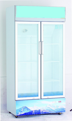 수동 큰 양쪽으로 여닫는 문 상업적인 냉장고 냉장고 R134a/125g, 430 L